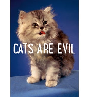 ED/Cats Are Evil